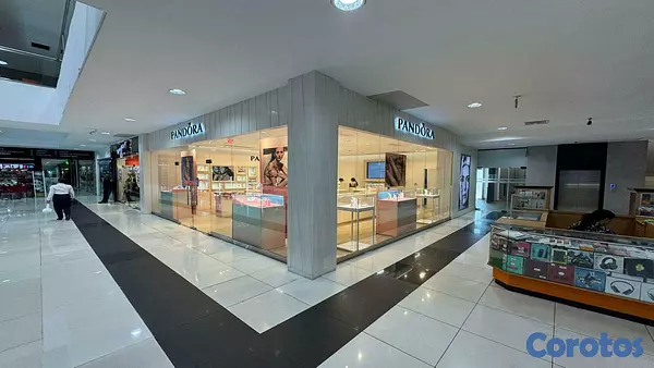 oficinas y locales comerciales - Local en Alquiler en Santiago de los Caballeros 4