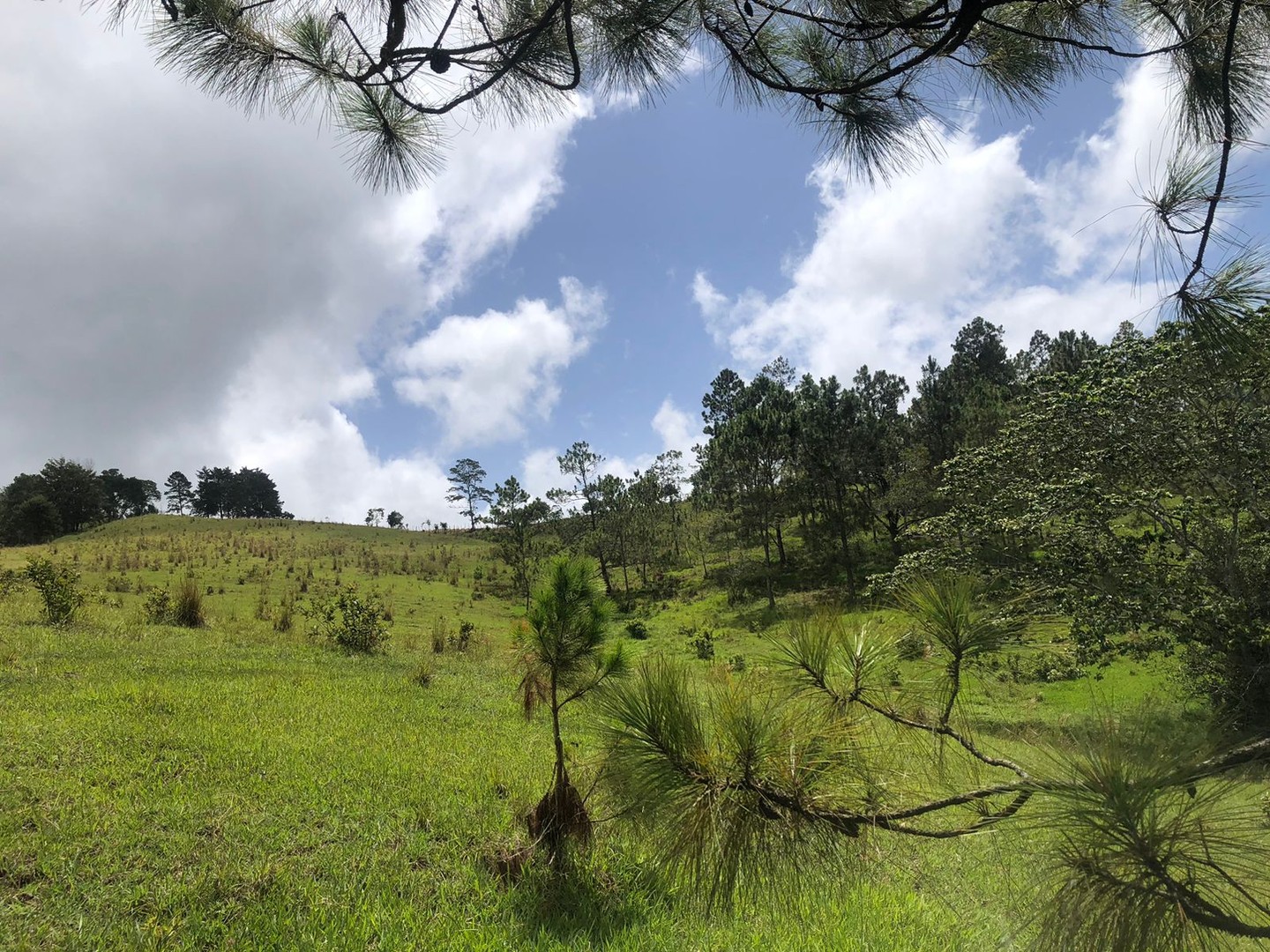 solares y terrenos - Solar en Constanza de oportunidad

Consta de 35mil metros unas 55.73 tareas