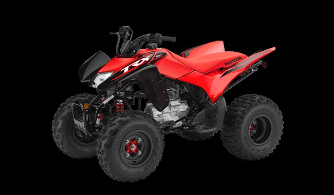 vehiculos recreativos - FOUR WHEEL   TRX250X 0