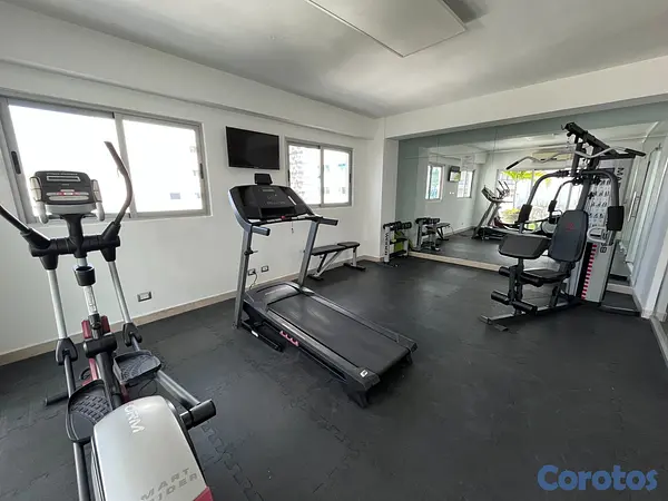 apartamentos - Apartamento en Alquiler en Piantini Amueblado de U 17