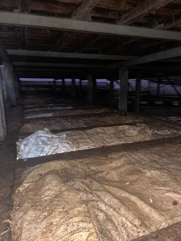 solares y terrenos - Finca de 4075 tareas en Cibao de Cacao  3