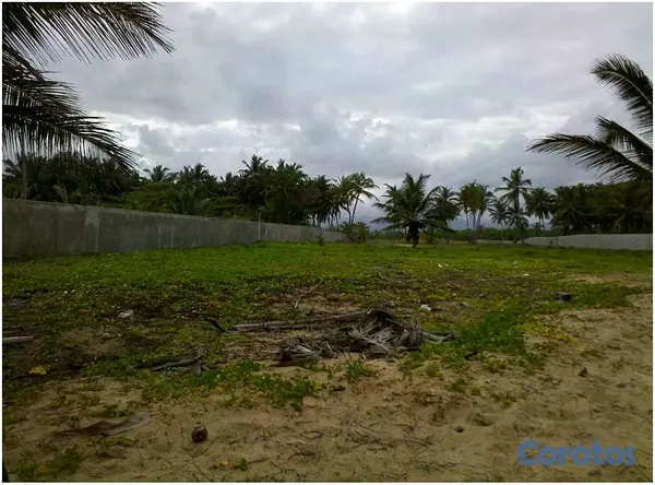 solares y terrenos - Vendo 1.5 Millón de Mts.2 CON PLAYA en UVERO ALTO  5