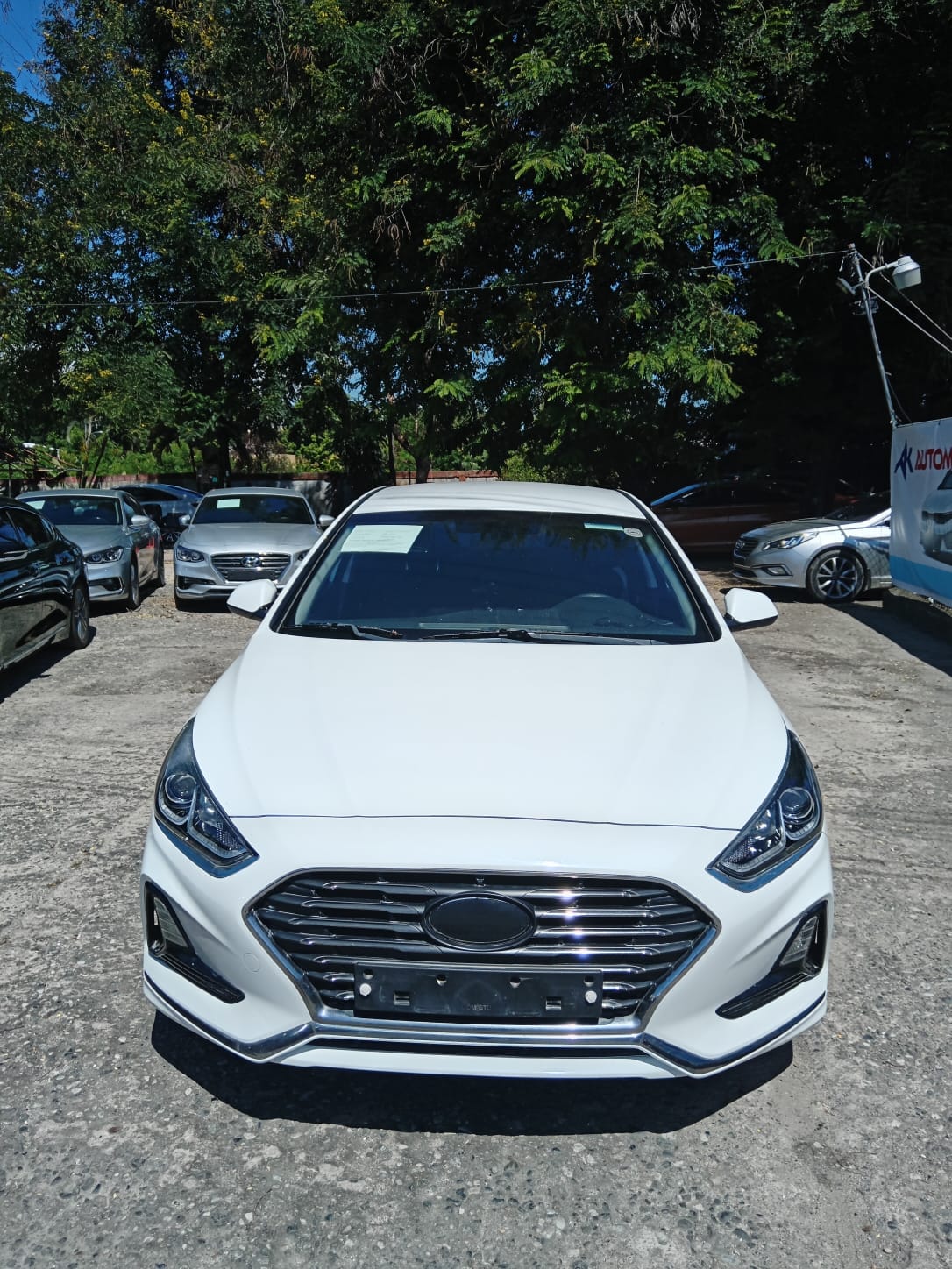 carros - HYUNDAI SONATA NEW RISE 2018 BLANCO 2