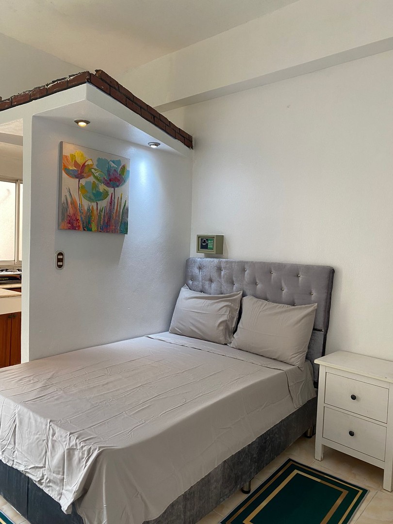 apartamentos - Zona Colonial, Alquiler Apartamento Estudio Próximo a La Calle El Conde 2