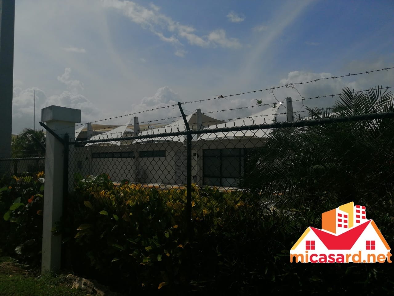 solares y terrenos - Terreno de 96,500 metros en Boca Chica 3
