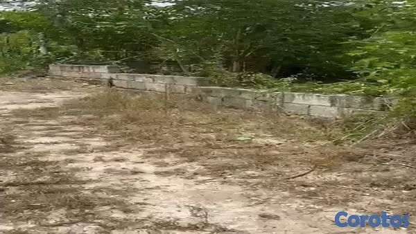 solares y terrenos - Solares con Título en Guayacanes 8