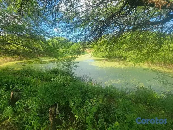solares y terrenos - Terreno en venta en Puerto Plata 5
