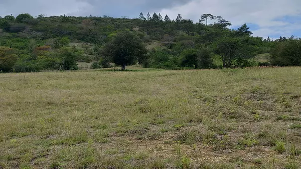 solares y terrenos - Terreno en Venta en las Matas de farfan 8