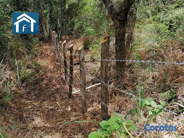 solares y terrenos - Solar en Constanza Rancho Guaraguao de 10591 metros 8