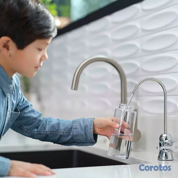 herramientas, jardines y exterior - SISTEMA DE TRATAMIENTO DE AGUA eSpring™ 3