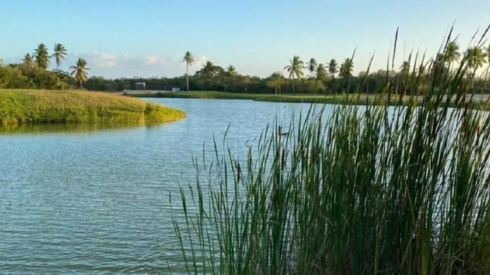 casas vacacionales y villas - Playa Nueva Romana - Villas tipo “Town-house” 9