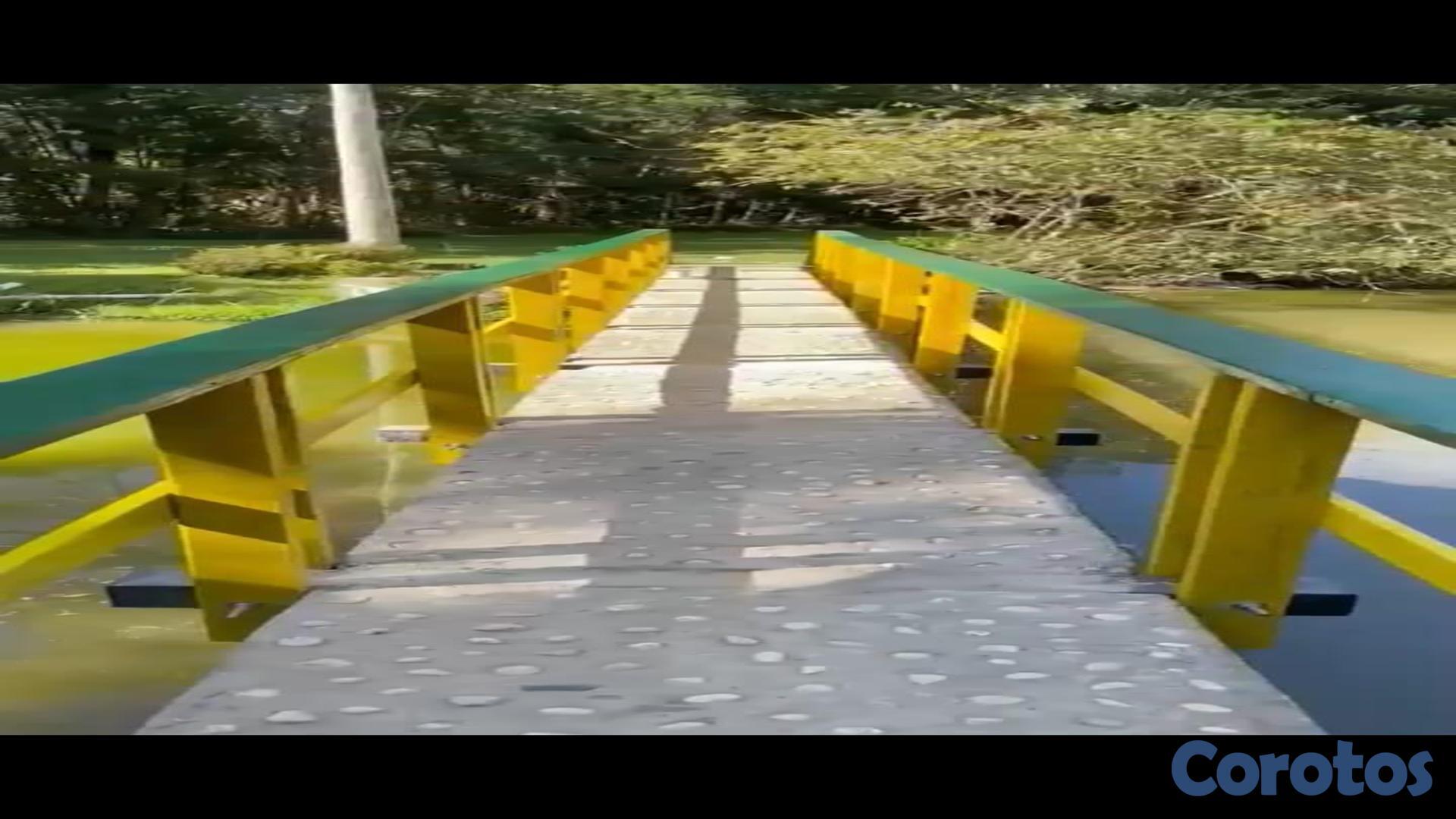 solares y terrenos - Solar en venta en Constanza ideal para cabañas 7