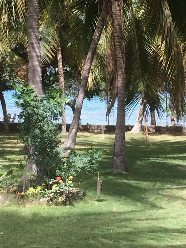 solares y terrenos - Venta de solar en la playa de 3,503mts en palmar de ocoa zona turística 3