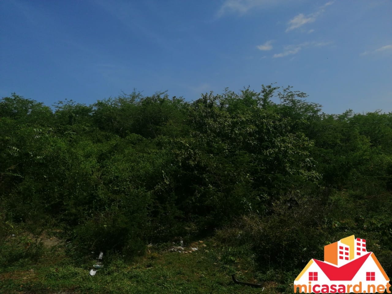 solares y terrenos - Terreno de 96,500 metros en Boca Chica 5