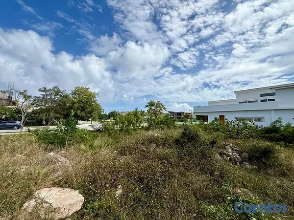 solares y terrenos - Terreno en Cap Cana con CONFOTUR 4