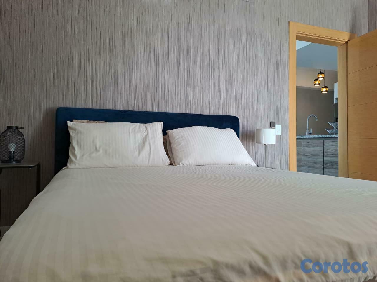 apartamentos - Alquilo apartamento amueblado en Piantini 5