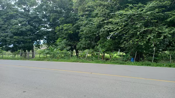 solares y terrenos - Terreno en Venta en las Matas de farfan 10