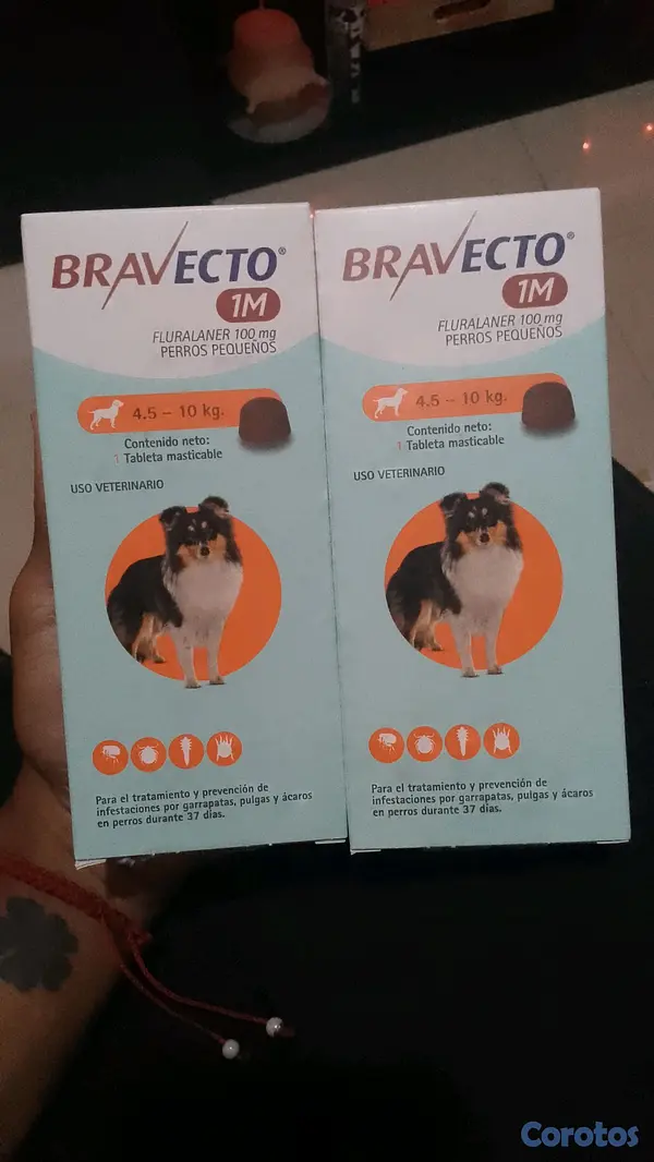 animales y mascotas - Bravecto  2