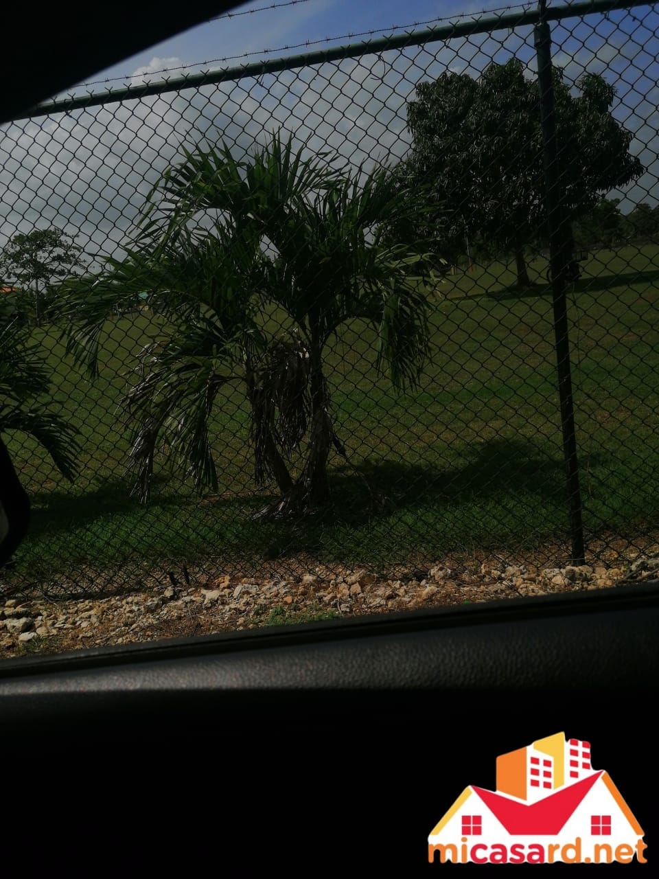 solares y terrenos - Terreno de 96,500 metros en Boca Chica 7