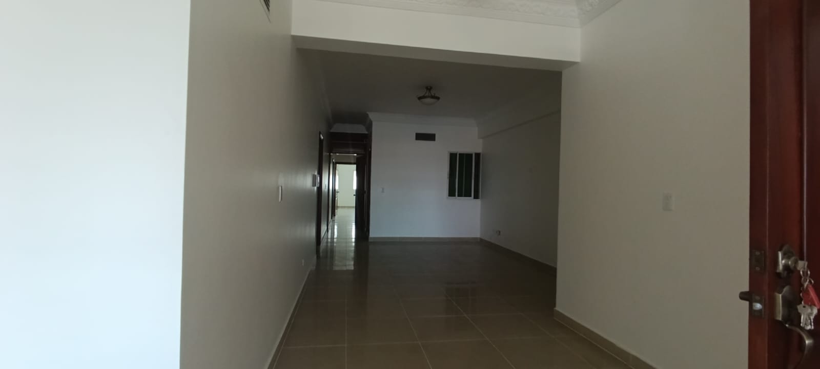 apartamentos - Bella Vista Amplio apartamento clásico 250mts 2