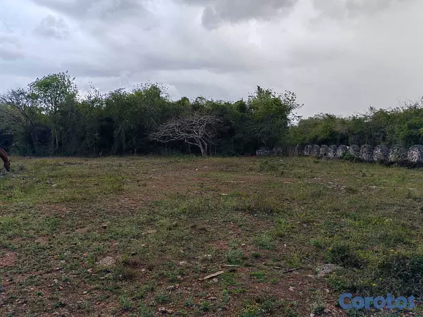 solares y terrenos - Vendo 14,000 Mts.2 de Terreno JUSTO AL LADO de GUAVABERRY en Juan Dolio, margina 2