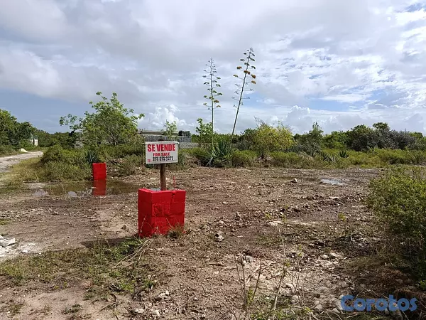 solares y terrenos - Solar venta bravo punta cana 2