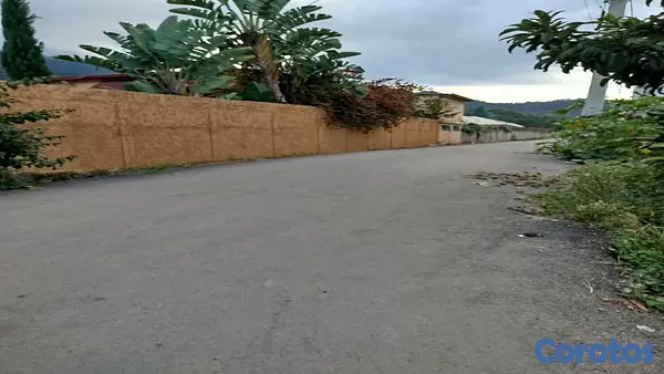 casas - Casa de 3 habitaciones en venta en Constanza 6