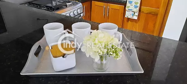apartamentos - Precioso y confortable apartamento en renta amueblado 6