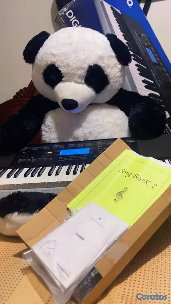 instrumentos musicales - Teclado Casio CTK-4400 3