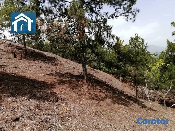 solares y terrenos - Solar en Constanza Rancho Guaraguao de 10591 metros 10