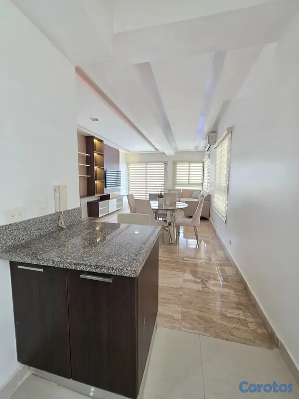 apartamentos - Apartamento en alquiler amueblado, Piantini 9