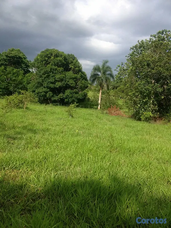 solares y terrenos - Finca en el Puerto de Bayaguana 4