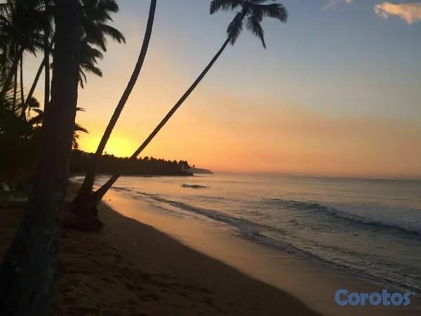 apartamentos - Apartamento en Remate Las Terrenas con Playa 3