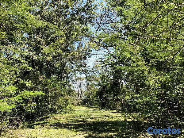 solares y terrenos -  VENDO SOLAR / TERRENO EN NIGUA SAN CRISTOBAL 10
