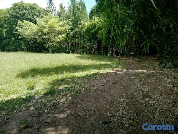 solares y terrenos - Vendo Terrero en Hato Nuevo ( Manoguayabo) 3