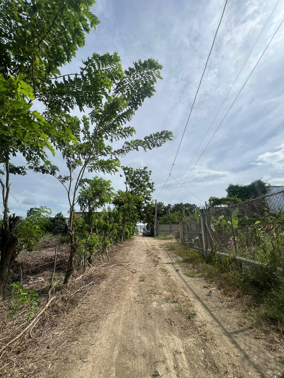 solares y terrenos - Solar de Venta en Carretera Puñal 4