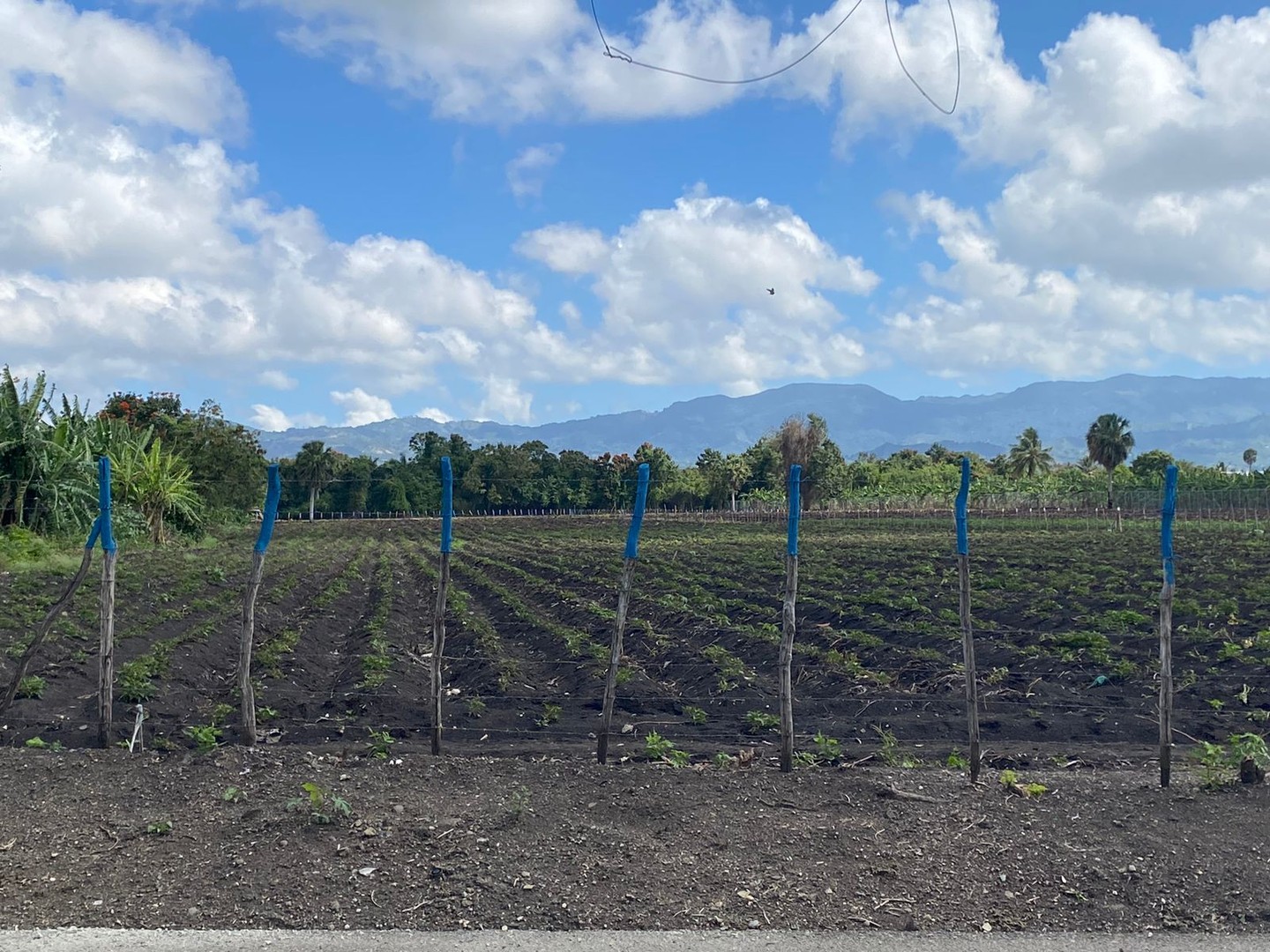 solares y terrenos - Terreno con 13,852 Mts2 en Limonal, Licey  0