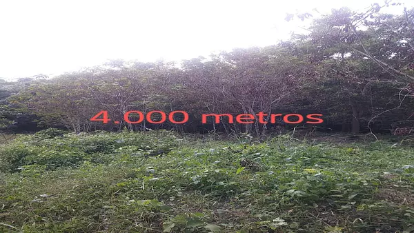 solares y terrenos - SOLARES EN VENTA EN PROYECTO ECOTURÍSTICO “Autopista Duarte Km 42” 2