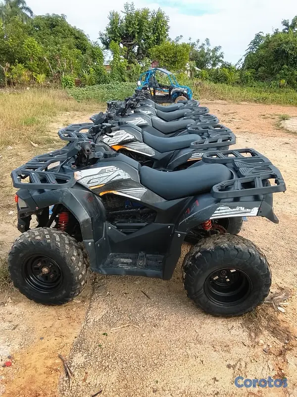 motores y pasolas - 4 Wheels Loncin GA  4