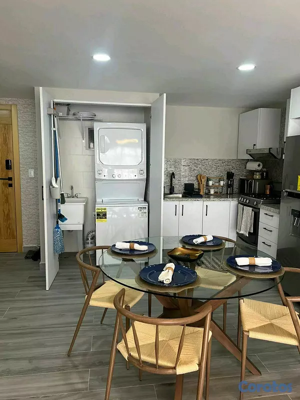 apartamentos - Alquiler y venta de Apartamento amueblado el Naco 4