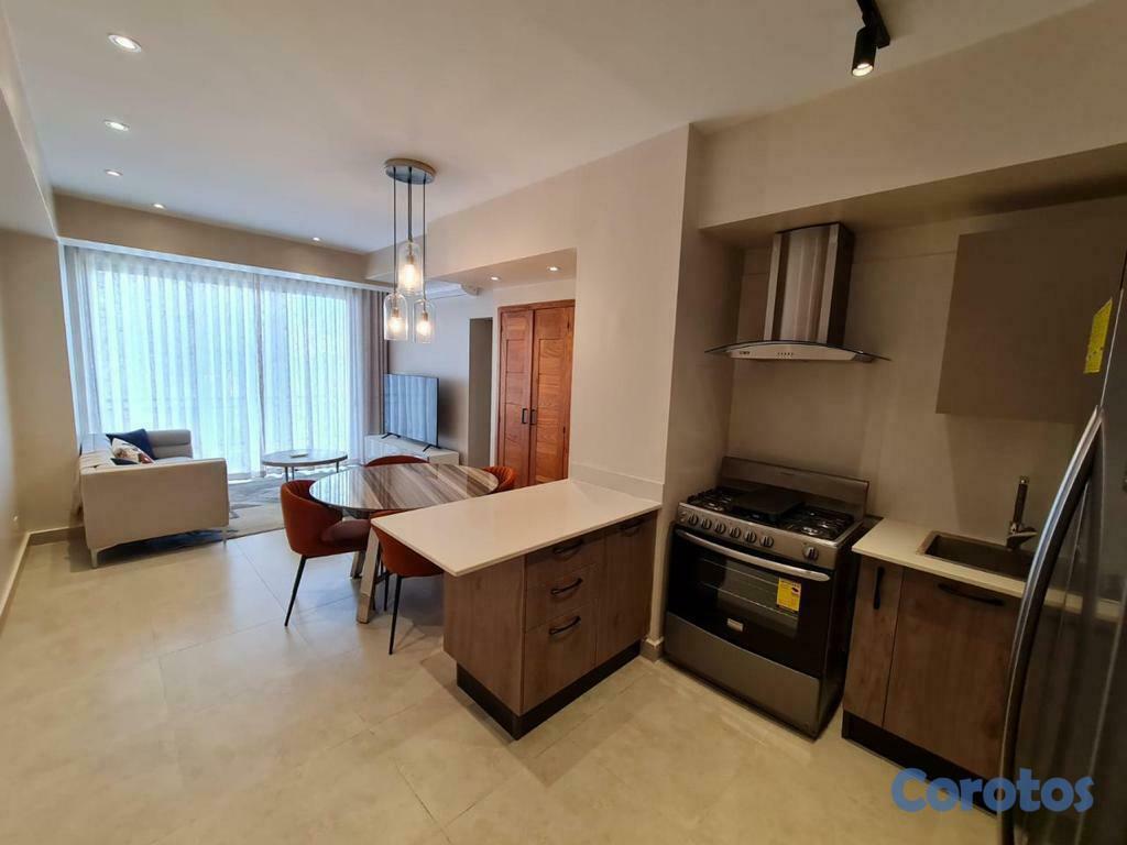 apartamentos - Alquiler Apartamento Amueblado de 2 Habitaciones,  1