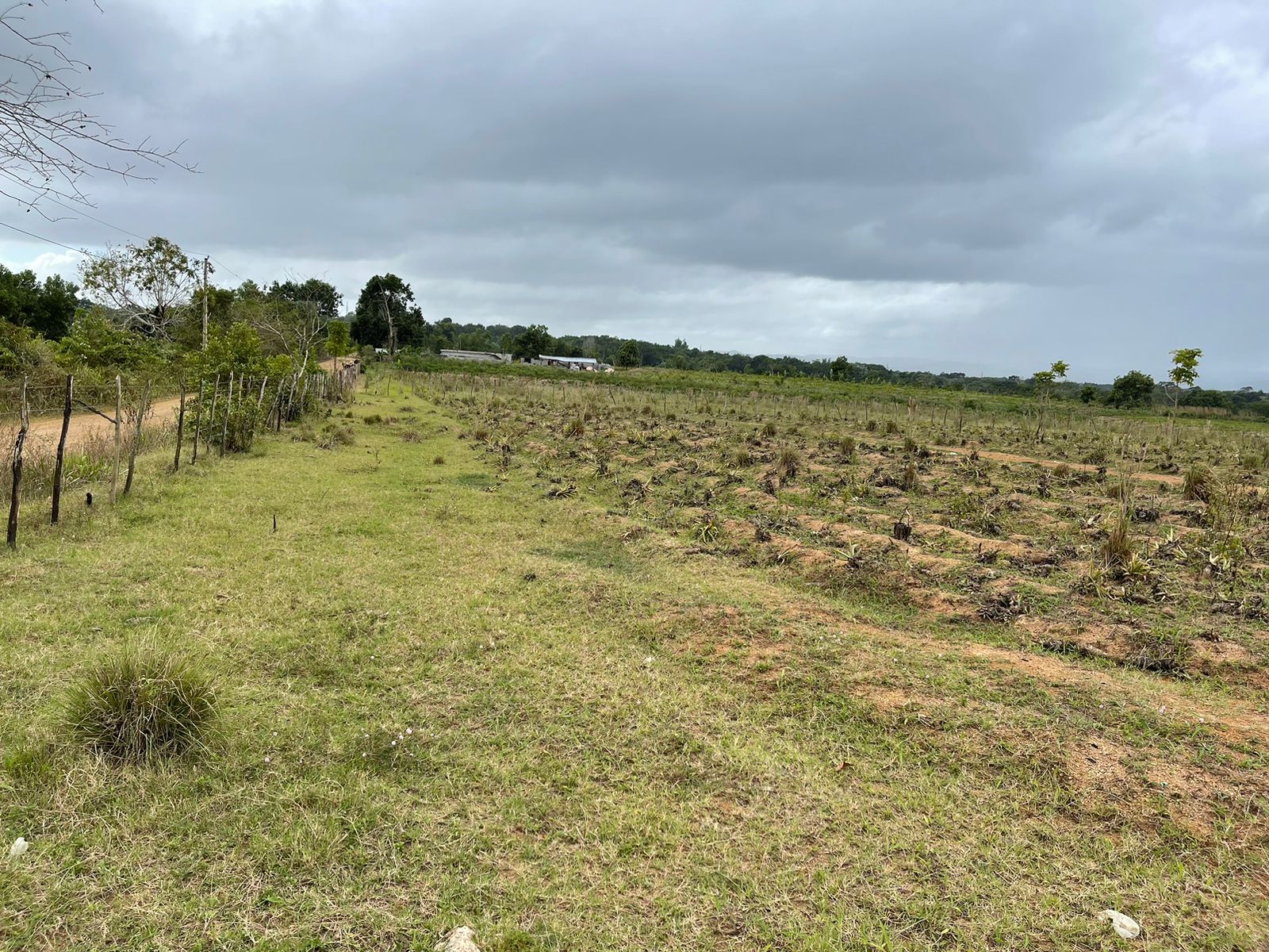 solares y terrenos - SUPER FINCA DE 105 TAREAS A 300 Mts. DE LA  CARRETERA EN DON JUAN, MONTE PLATA 3