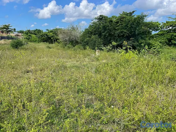 solares y terrenos - Terreno en venta Manoguayabo 2