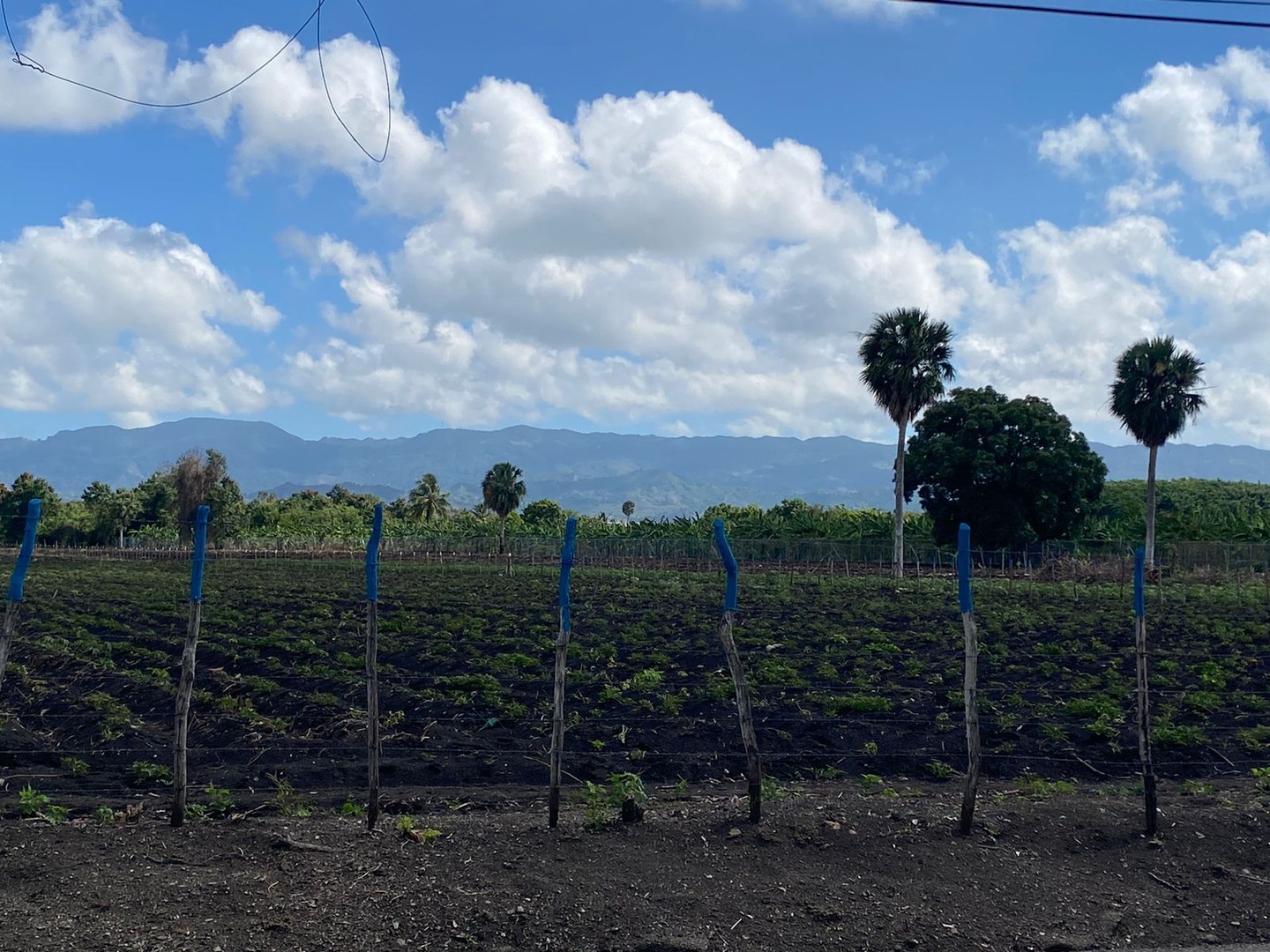 solares y terrenos - Terreno con 13,852 Mts2 en Limonal, Licey  1
