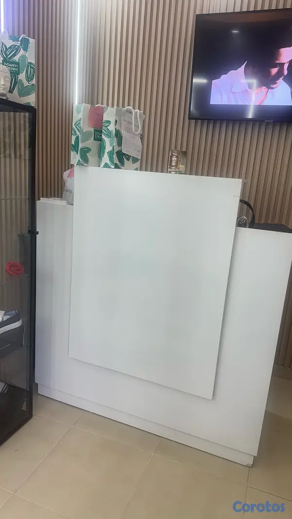 equipos profesionales - counter o recibidor de negocio  2