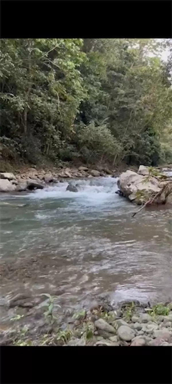 solares y terrenos - Terreno en Venta en JARABACOA 
 9