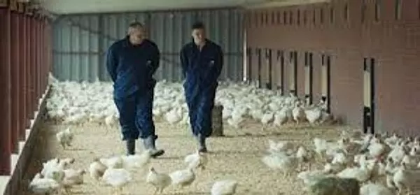 empleos disponibles - Se solicita Encargado de Granja 
 2
