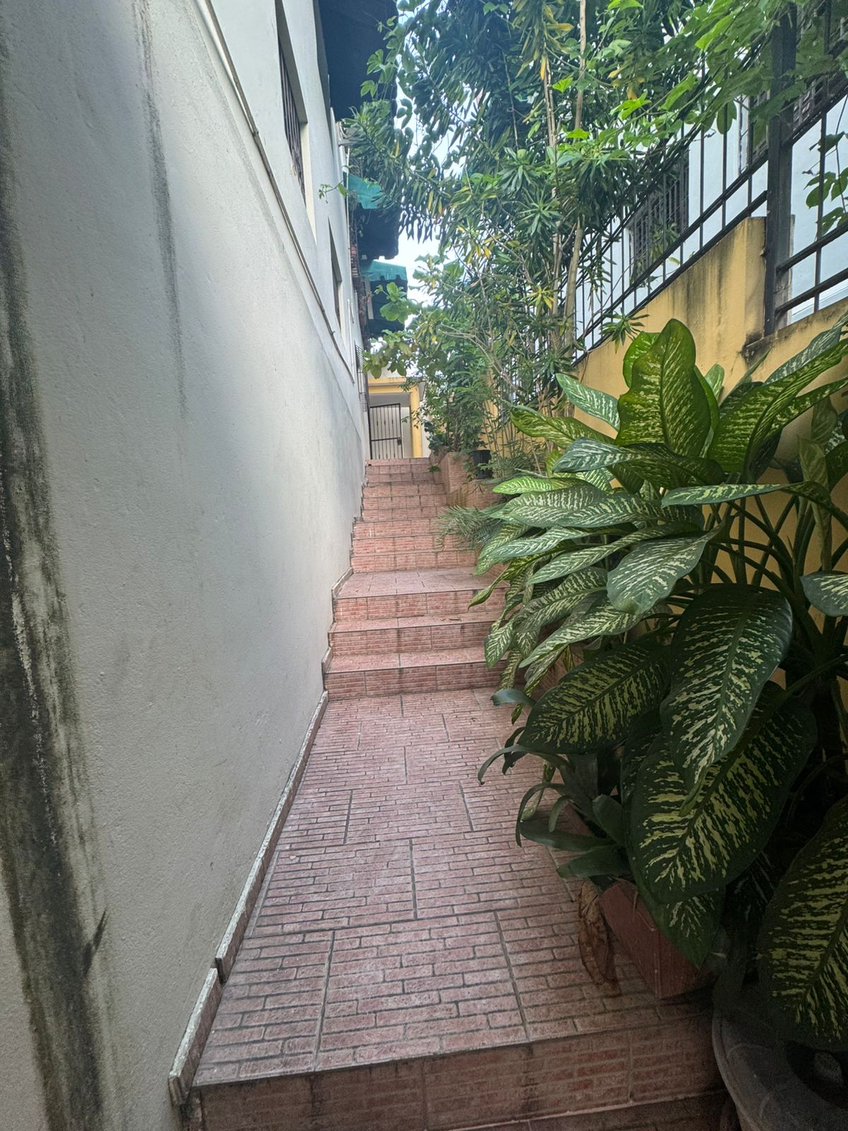 apartamentos - Piso 3 Habitciones En Arroyo Hondo De Oportunidad 6
