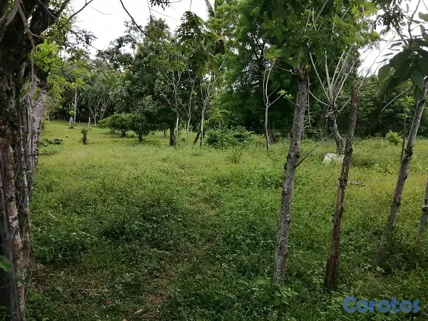 solares y terrenos - Vendo terreno en Manoguayabo  4