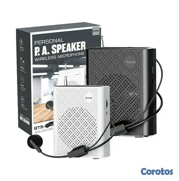 camaras y audio - Bocina + Microfono BTS-1383 parlante para charlas, maestros, panelitas, spekears 4